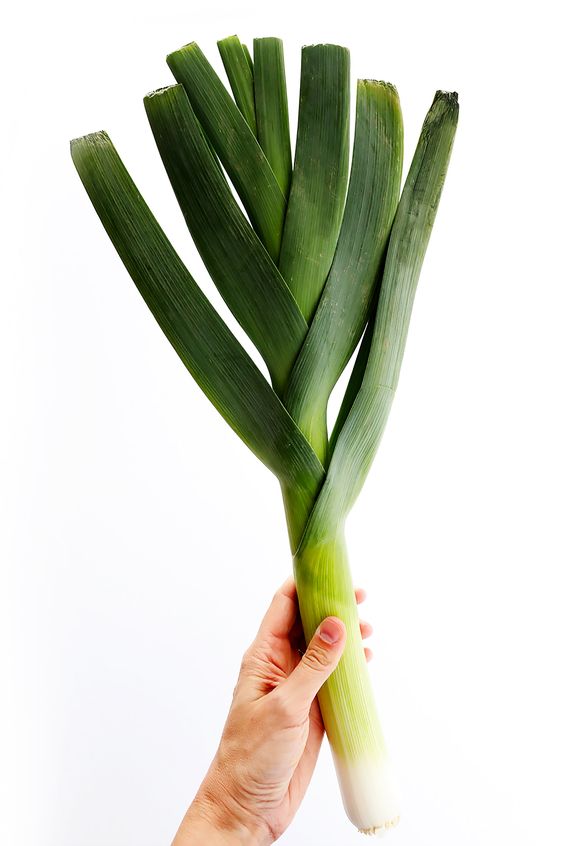 Leek Bunch