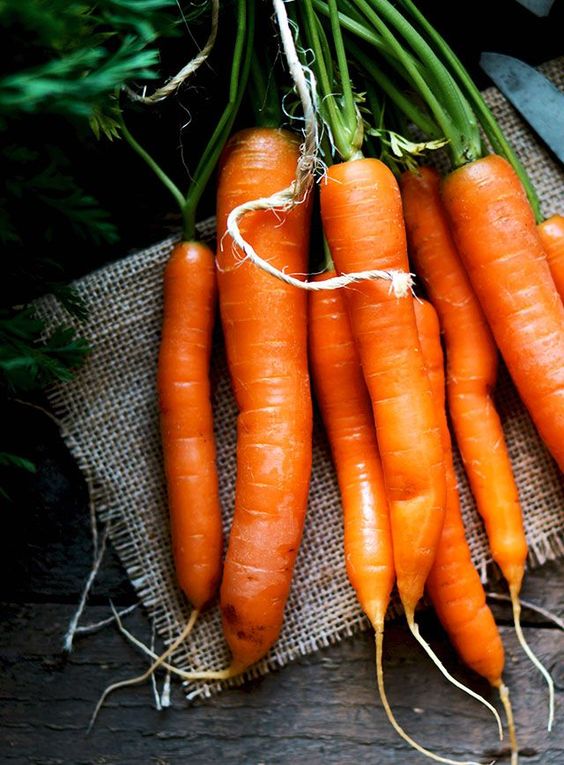 Carrot Bunch