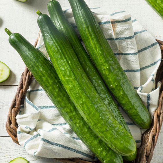 English Cucumber