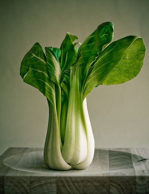 Pak Choi